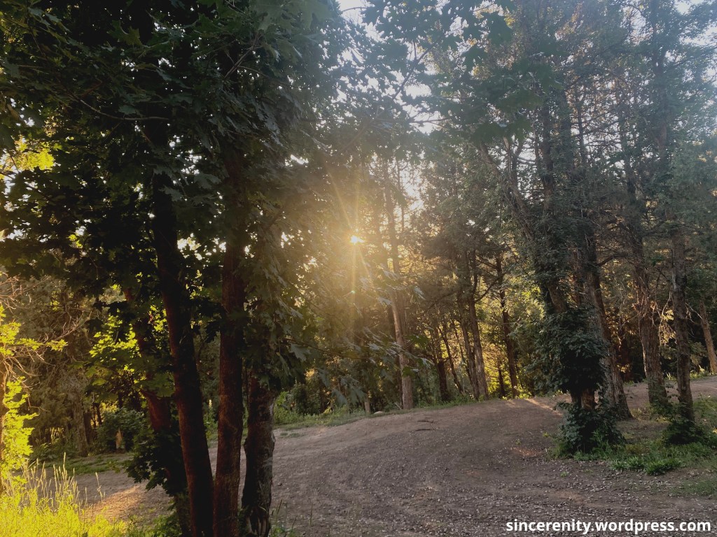 Week 18 (-11 lbs&nbsp;total)